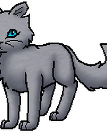 Taubenflug Sc Warrior Cats Wiki Fandom
