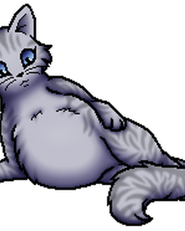 Silberfluss Warrior Cats Wiki Fandom