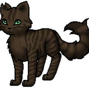 Stachelkralle Warrior Cats Wiki Fandom