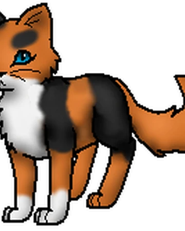 Moospelz Warrior Cats Wiki Fandom