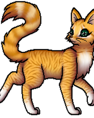 Himmelsstern Warrior Cats Wiki Fandom