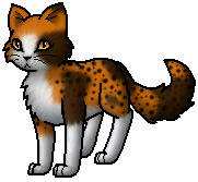 Warrior Cats Ampferschweif Warrior Cats Ampferschweif