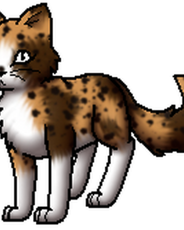 Mohnfrost Warrior Cats Wiki Fandom