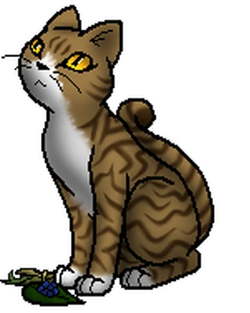 Blattsee Warrior Cats Wiki Fandom