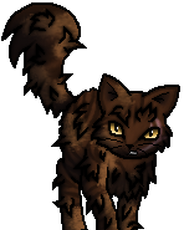 Fang Vom Kreisenden Adler Warrior Cats Wiki Fandom
