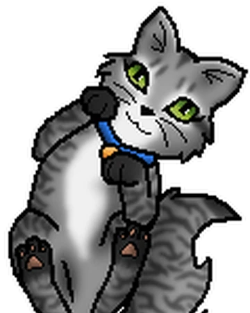 Echoklang Warrior Cats Wiki Fandom