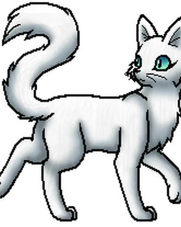 Fallende Feder Warrior Cats Wiki Fandom