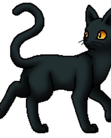 Grauer Flug Warrior Cats Wiki Fandom