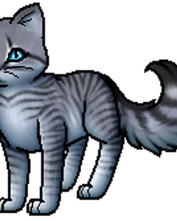 Federschweif Warrior Cats Wiki Fandom