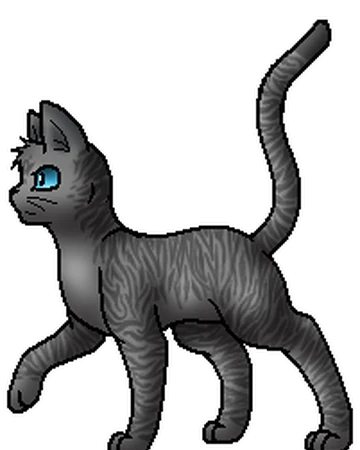 Ginsterstern Dlg Warrior Cats Wiki Fandom