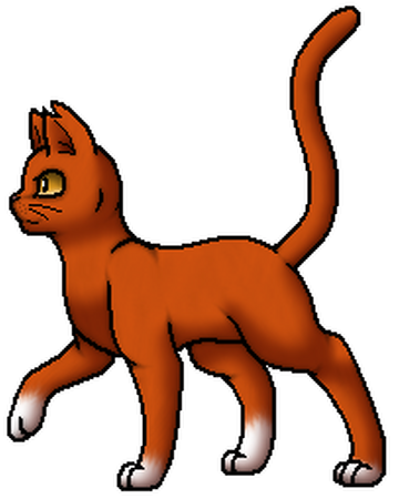 Donner Warrior Cats Wiki Fandom