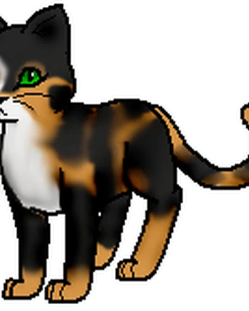 Springschweif Wc Warrior Cats Wiki Fandom