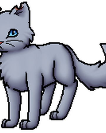 Steinfell Warrior Cats Wiki Fandom