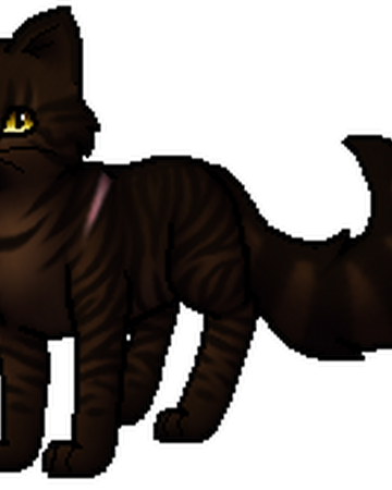 Brombeerstern Warrior Cats Wiki Fandom