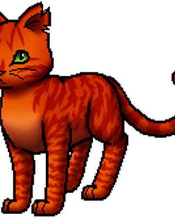 Warrior Cats Alle Tode Staffel 5 Wattpad