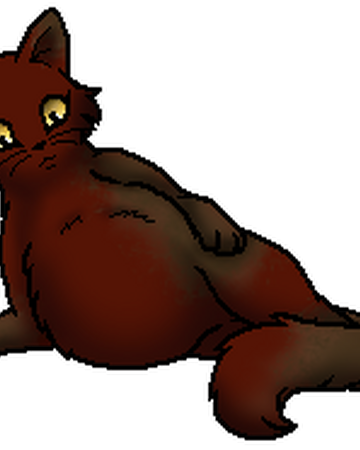 Sturzflug Vom Braunen Habicht Warrior Cats Wiki Fandom