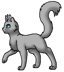 Wolken Warrior Cats Wiki Fandom