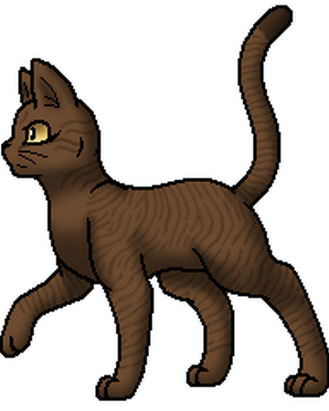 Wind Warrior Cats Wiki Fandom