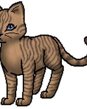 Heideschweif Warrior Cats Wiki Fandom
