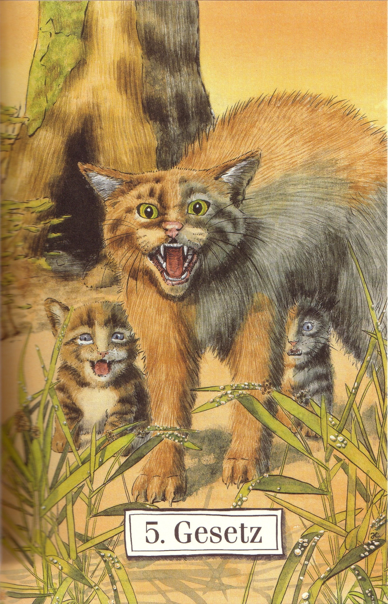 Bildergebnis fÃ¼r 1 gesetz derkrieger