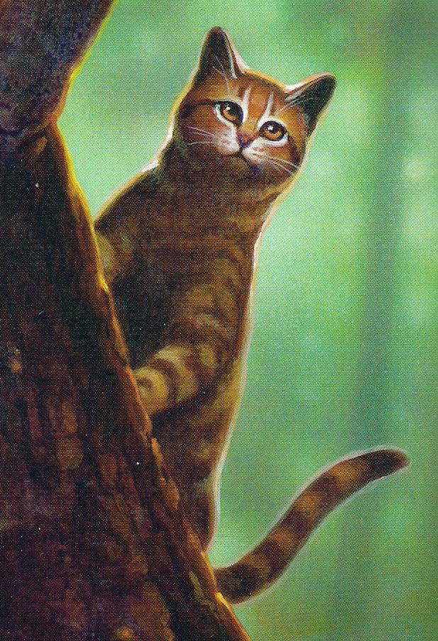 Cinderheart Warriors Cat Cinderheart Warriors Cat
