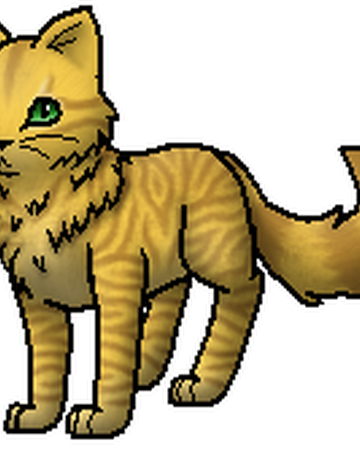 Löwenherz Warrior Cats Wiki Fandom
