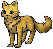 Löwenherz Warrior Cats Wiki Fandom