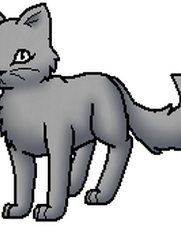 Schimmerpelz Ba Warrior Cats Wiki Fandom