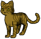Gimp Test Bild