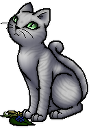 Maulbeerglanz Warrior Cats Wiki Fandom