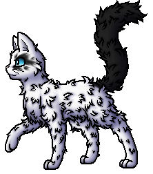 Dunkelschweif Warrior Cats Wiki Fandom
