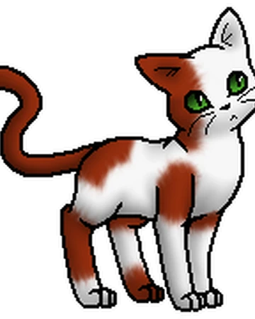 Fallendes Blatt Warrior Cats Wiki Fandom