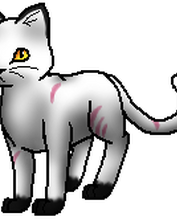 Schwarzstern Warrior Cats Wiki Fandom