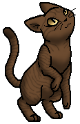 Wind | Warrior Cats Wiki | FANDOM powered by Wikia