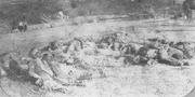 Confederate army 43