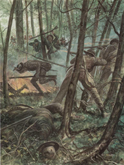 Confederate army3