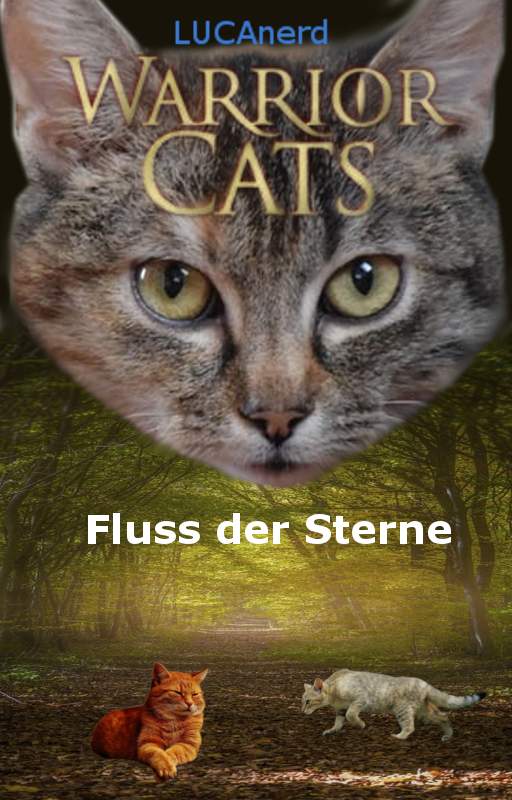 Fluss Der Sterne Fallende Sterne Warriorcats Erfindung