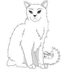 Discuss Everything About WarriorCats-Erfindung Wiki | Fandom