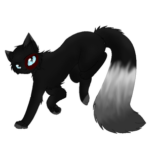Heavy Rain | WarriorCats-Erfindung Wiki | FANDOM powered ...