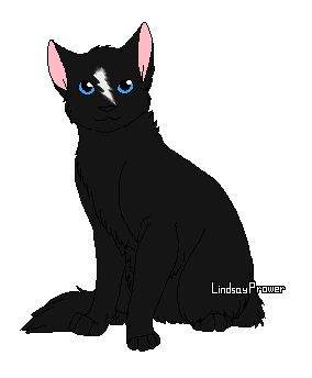 Warrior Cats Sandsturms Geheimnis Infos Warrior Cats Sandsturms Geheimnis Infos