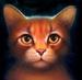 Warriors-warrior-cats-2582272-75-73