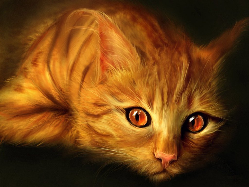 Image - Golden cat Wallpaper yvt2.jpg | Warrior Cats Roleplay Wiki | FANDOM powered by Wikia