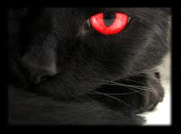 Djodjjodnojdnnnnnnnnnnnnnnnnnnnnnnnnnn