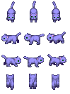 Light blue cat 2