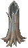 Burnt Sycamore