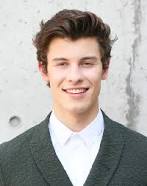 Shawn mendes