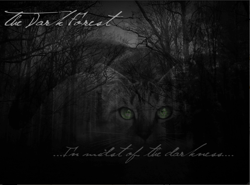 a dark and starless forest a dark and starless forest