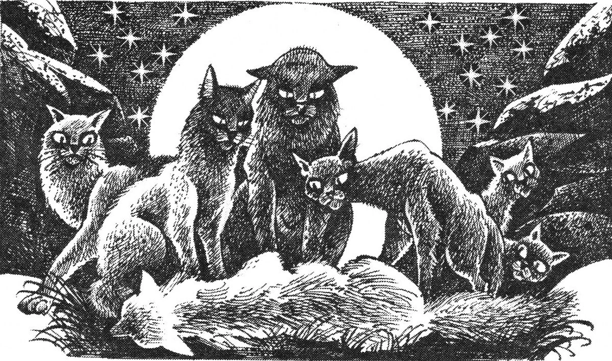 коты воители арты от romashik. коты воители пестролистая в звездном племени. коты воители книги. коты воители знак небесного племени. коты воители звёздное племя.