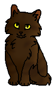 Коготочек (котёнок)