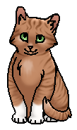 Куничка (котёнок)